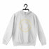 Quirkipedia BENZENE ONE RING TO RULE THEM ALL CHEMISTRY Science, Nerd, Geeky Hooded SweatShirts